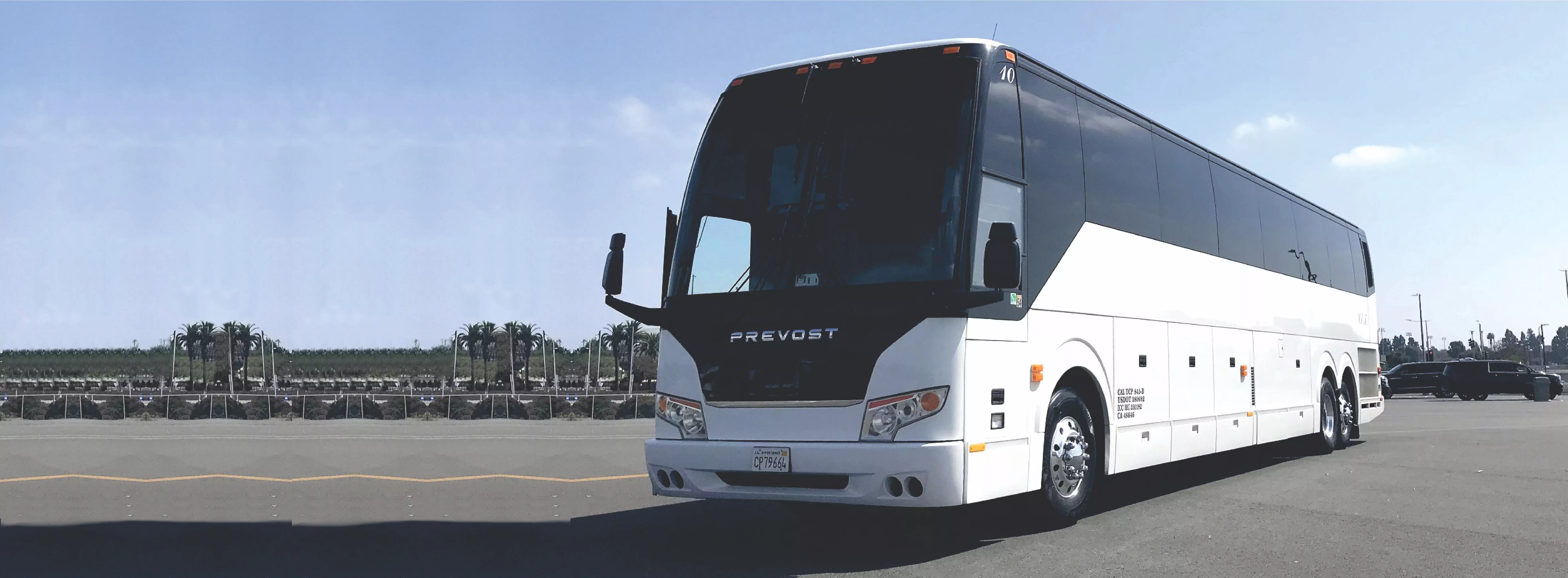 Large Motorcoach